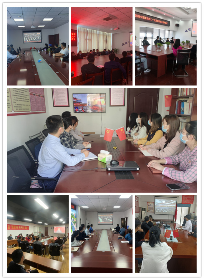 中国4688美高梅集团(股份)有限公司-官方网站