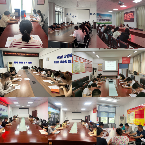 中国4688美高梅集团(股份)有限公司-官方网站